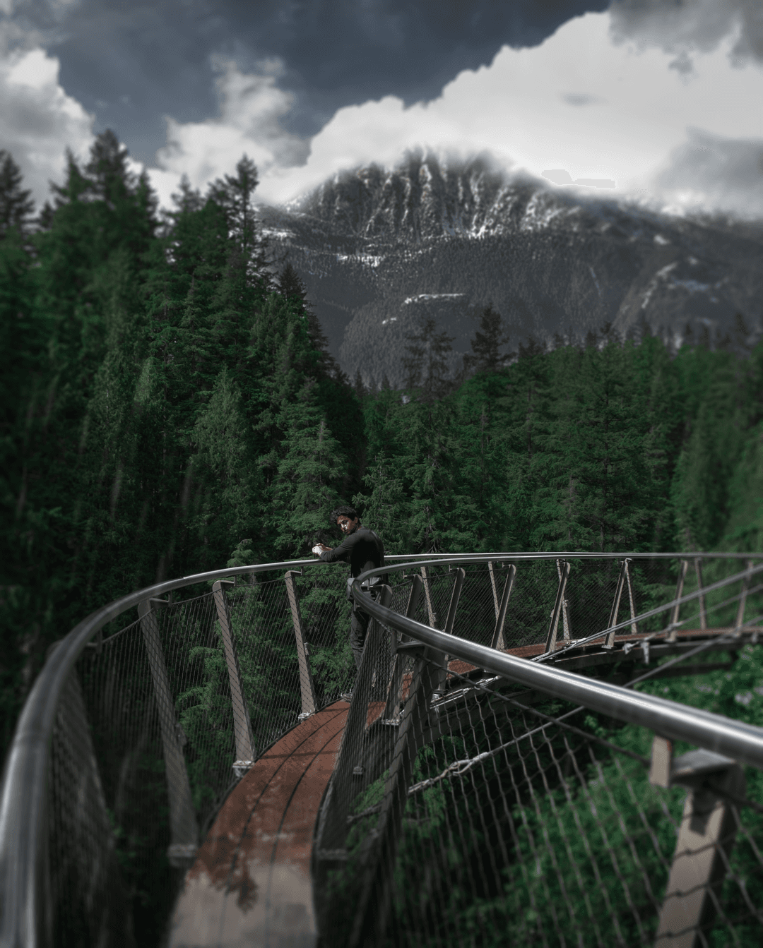 Capilano Suspension